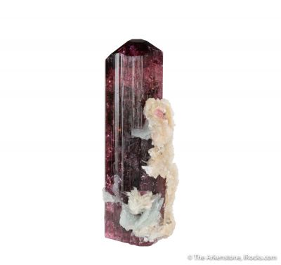 Tourmaline with Albite and Laumontite (illustrated)
