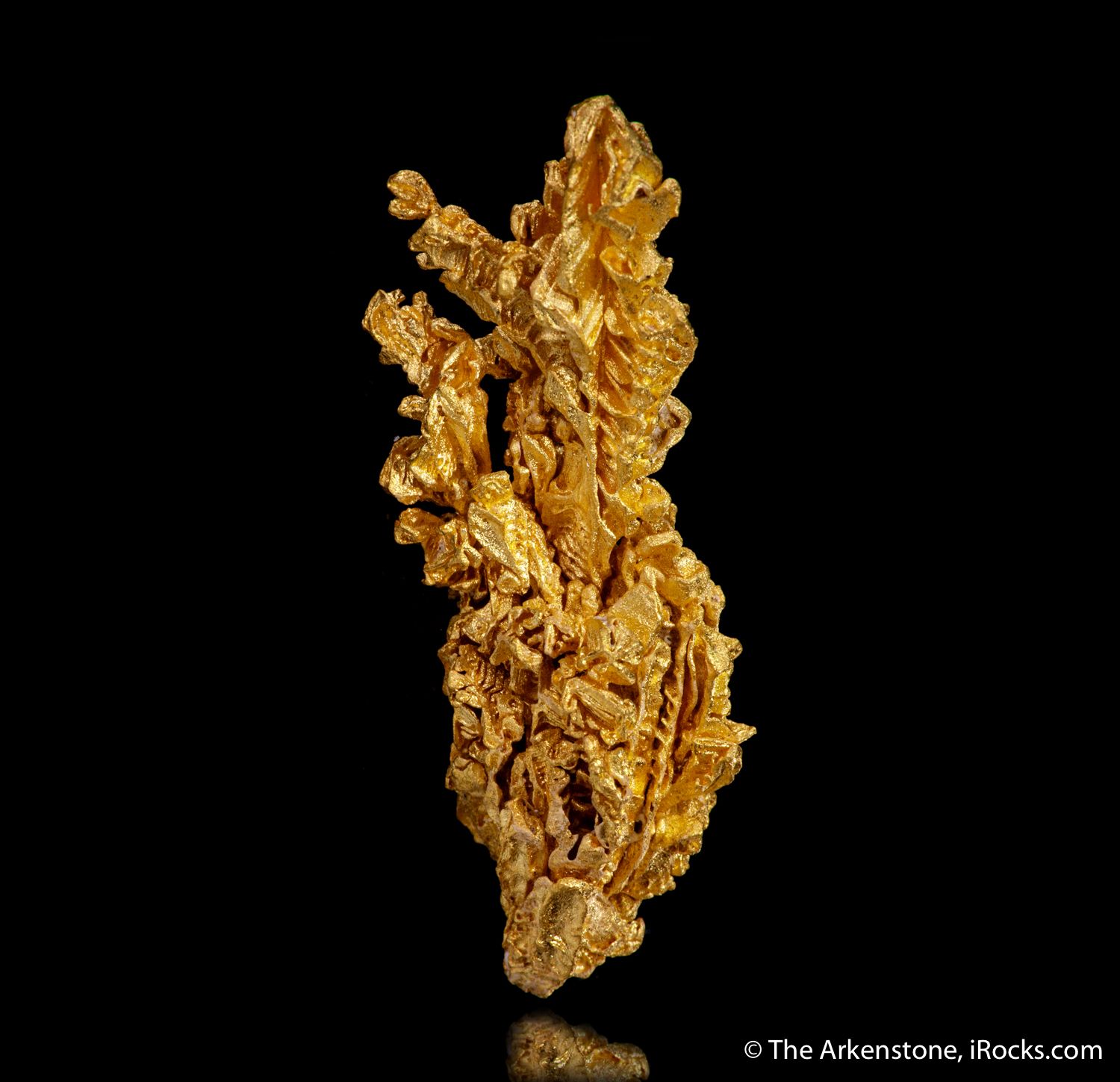 Gold - GOLD21-02 - Pontes e Lacerda - Brazil Mineral Specimen