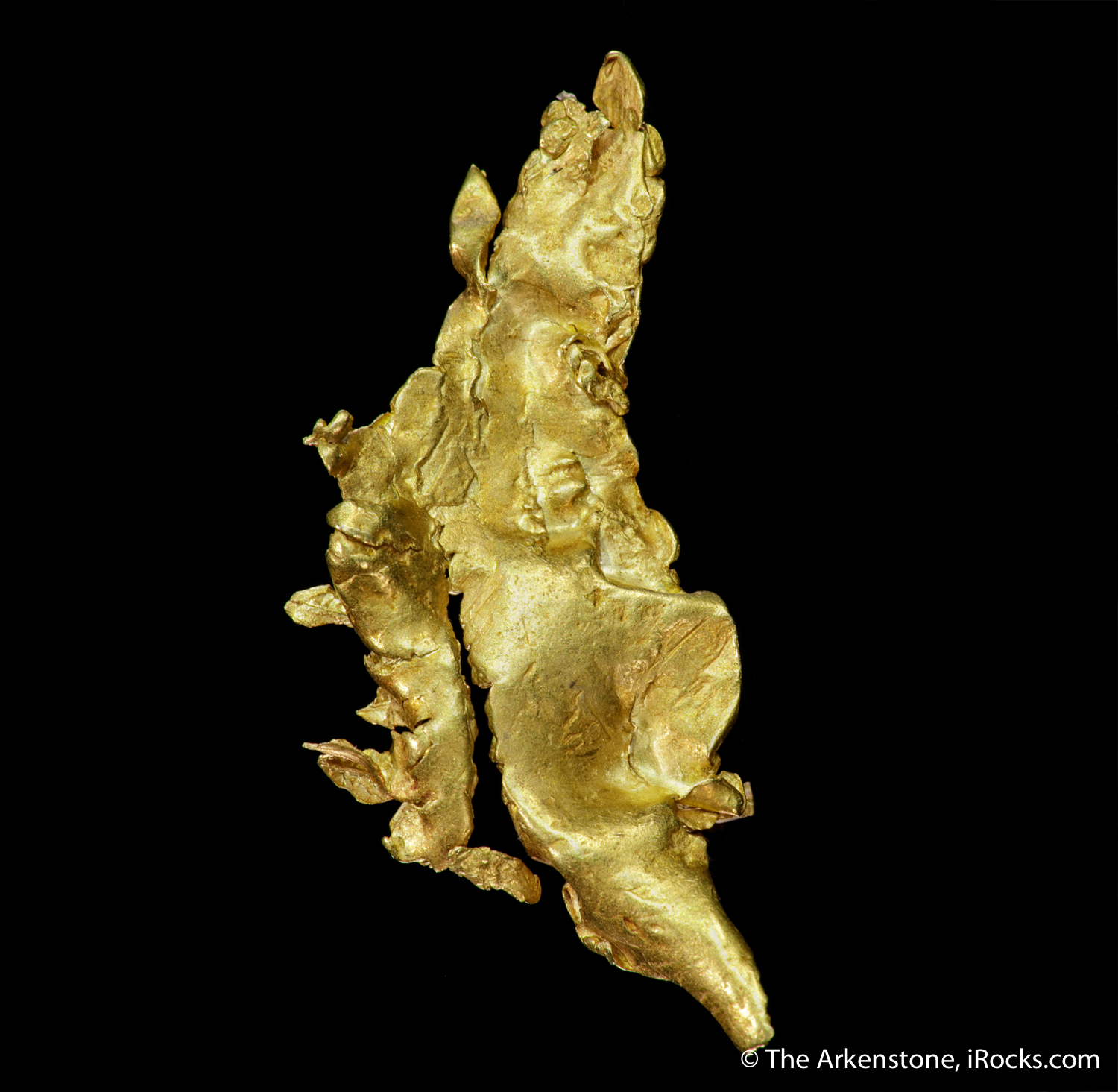Gold - GOLD21-07 - Red Ledge Mine - USA Mineral Specimen