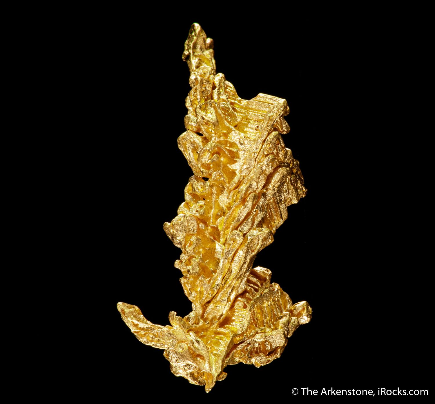 Gold - GOLD21-13 - Pontes e Lacerda - Brazil Mineral Specimen