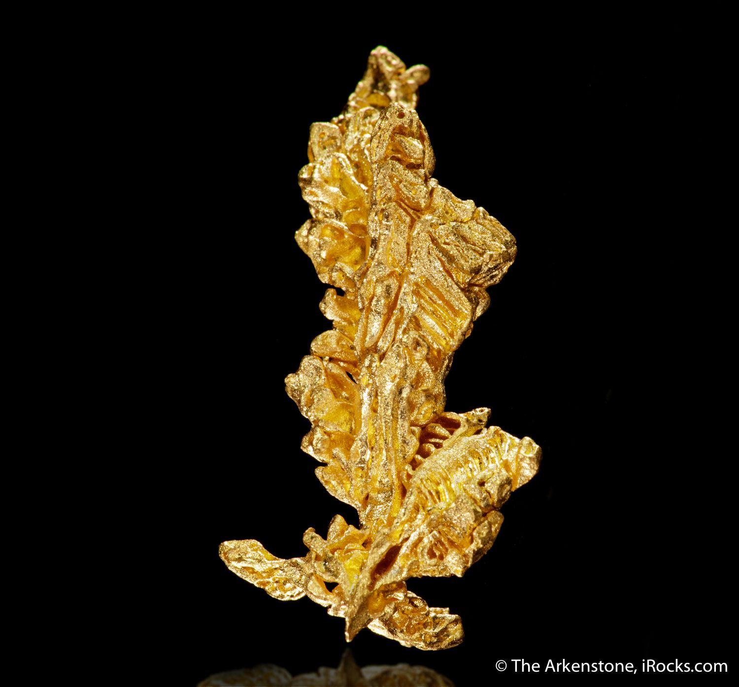 Gold - GOLD21-13 - Pontes e Lacerda - Brazil Mineral Specimen