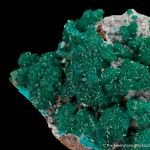 Dioptase - SM21-016 - N'tola Mine - Republic of the Congo Mineral Specimen