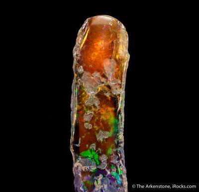 Opal replacing fossil tree limb