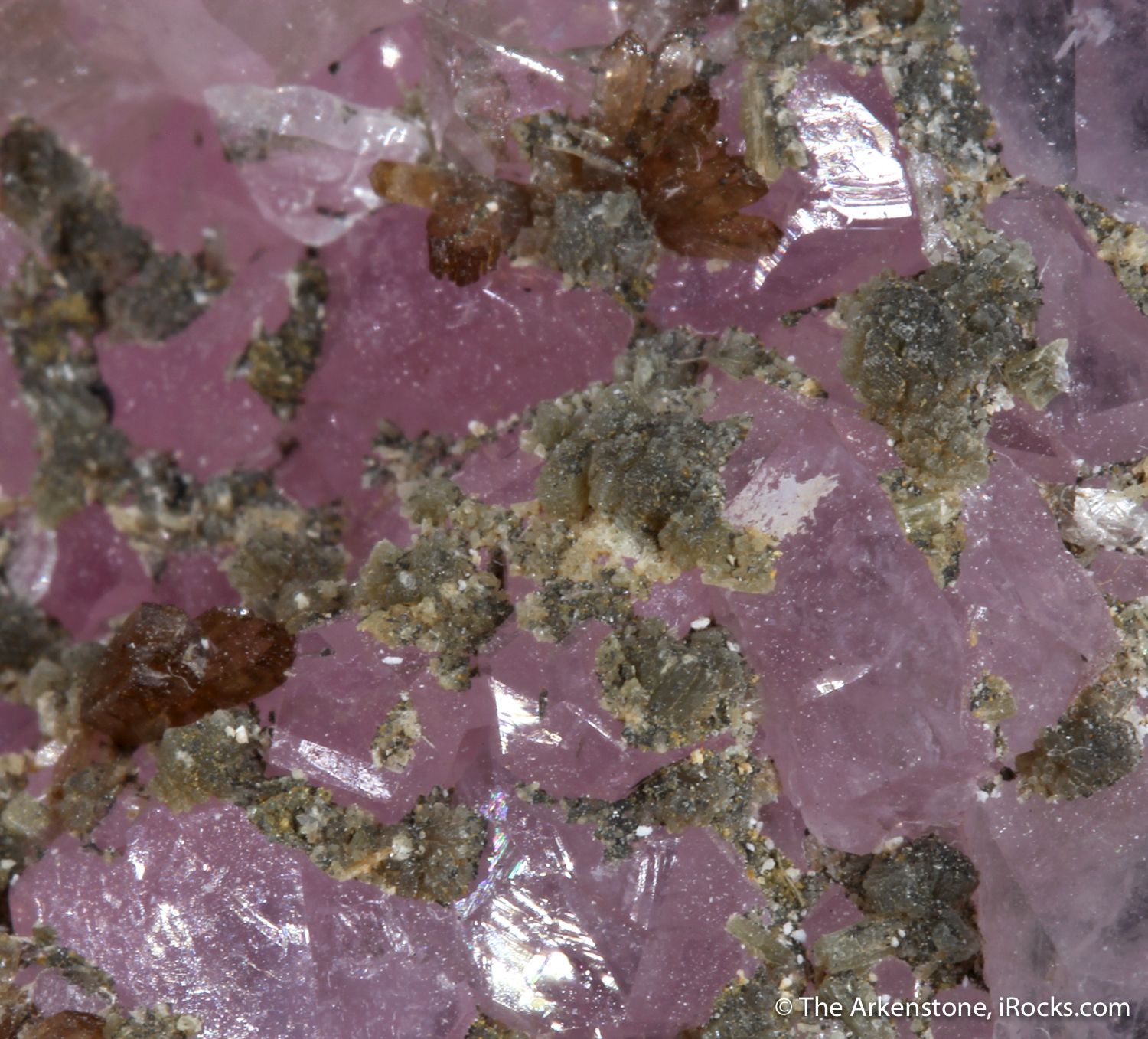 Rose Quartz - QTZ22-33 - Pitorra Claim - Brazil Mineral Specimen