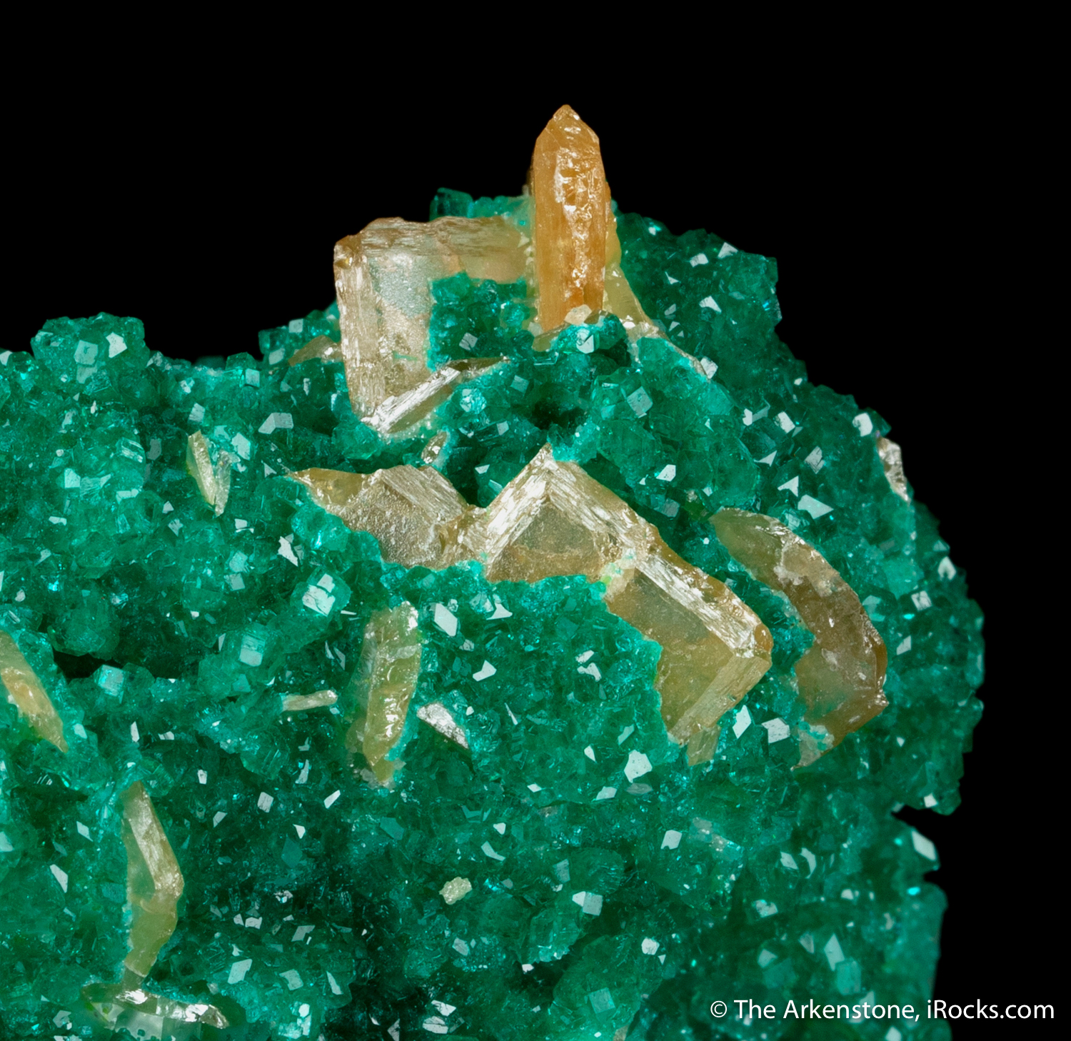 Dioptase crystals on matrix with Calcite from DRC F68206 57mm x 45mm x 26mm t15off