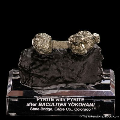 Pyrite on Pyrite ps. Baculites yokayamai