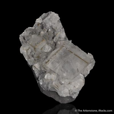 Calcite with oriented Pyrite